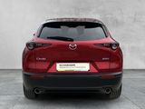 Mazda CX-30 EXCLUSIVE-LINE 186 2WD MATRIX+360°+LEDER - Mazda CX-30: Exclusive Line