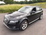 Audi A4 Allroad 3.0 TDI (DPF) Quattro Bi-Xenon, AHZV - Audi A4 Allroad aus 2012