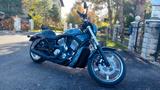 Harley-Davidson VRSCB V-ROD (VRod) - HARLEY-DAVIDSON 2005 V ROD