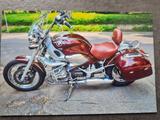 BMW R850C - BMW CHOPPER R 850
