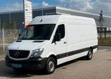 Mercedes-Benz Sprinter Maxi lang - Mercedes-Benz Sprinter: Maxi Lang