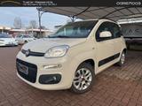 Fiat Panda Young 1.2 #8904 - Fiat Panda: Young