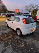 Fiat Grande Punto 1.2 8V Active - Fiat Grande Punto in Hannover
