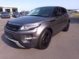 Land Rover Range Rover Evoque Dynamic*Meridian*20"Alus*CAM* - Land Rover Gebrauchtwagen in Mainz