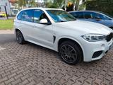BMW X5 xDrive30d - sehr gepf. OZ felgen ,NR  -AHK,  - BMW: F30