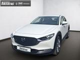 Mazda CX-30 2.0 SKYACTIV-G M Hybrid *KLIMA*KAMERA*NAVI - Mazda CX-30: Limousine