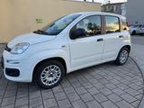 Fiat Panda Easy / SITZHEIZUNG / PDC - gebrauchte Fiat Panda aus dem Jahr 2020