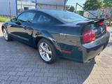 Ford Mustang - Ford Mustang mit LPG-Antrieb: Leder
