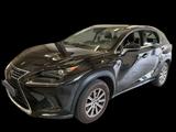Lexus NX 300 300h E-Four Pack Business - Lexus aus 2021