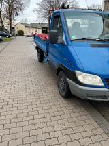 Mercedes-Benz Lkw Mercedes Sprinter - Mercedes-Benz Sprinter: Lkw