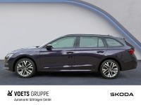 Skoda Octavia - Vorschau Bild 2