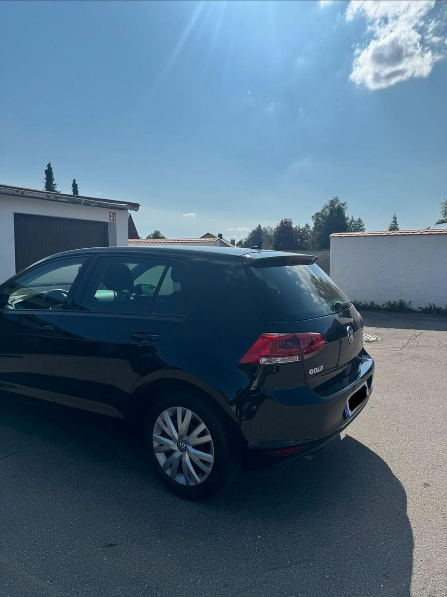 Volkswagen Golf 2013 — interior
