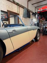 Austin Healey BN4 Vollrestauration - Austin Healey: Bn4