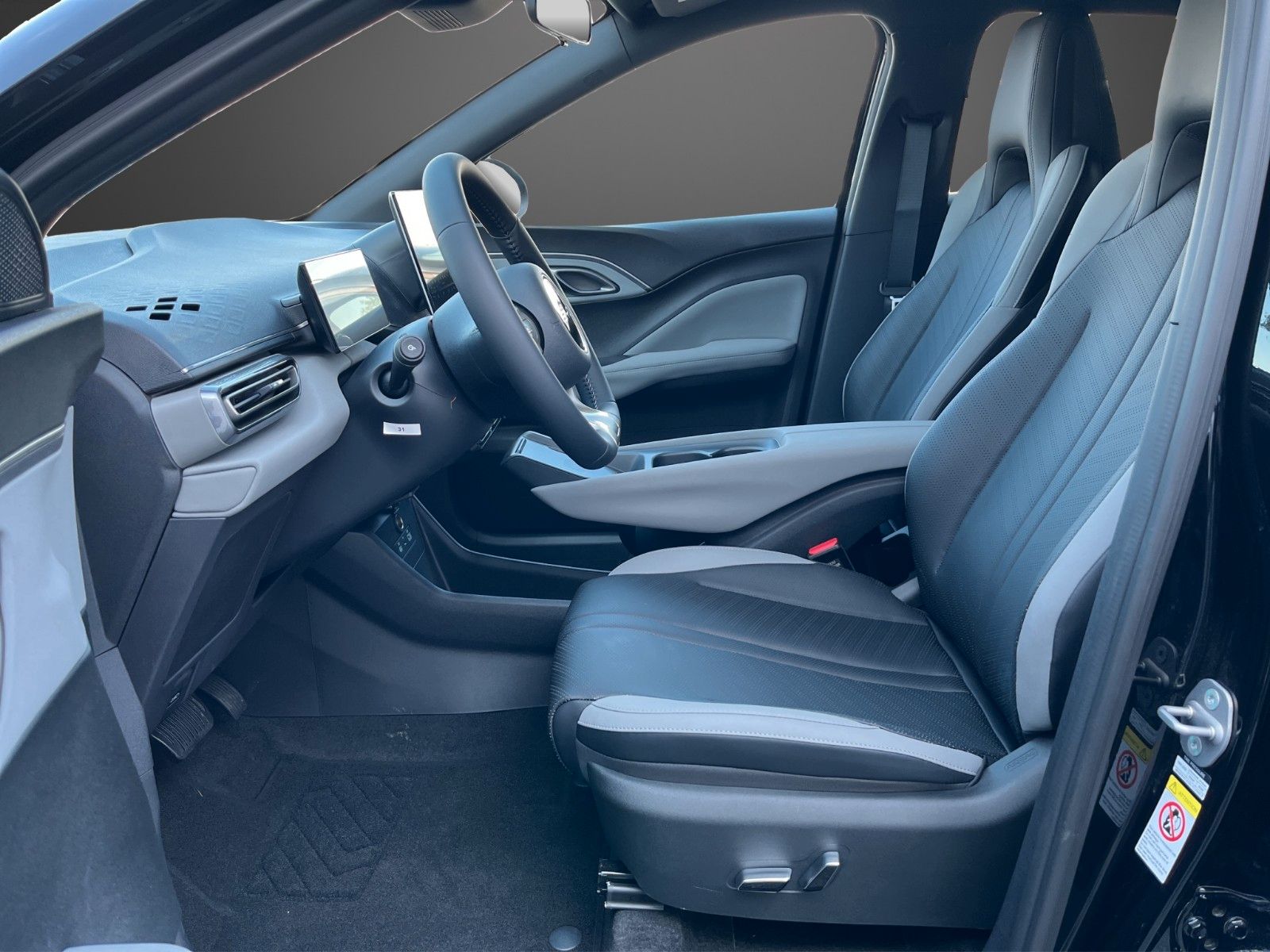 BYD DOLPHIN SURF