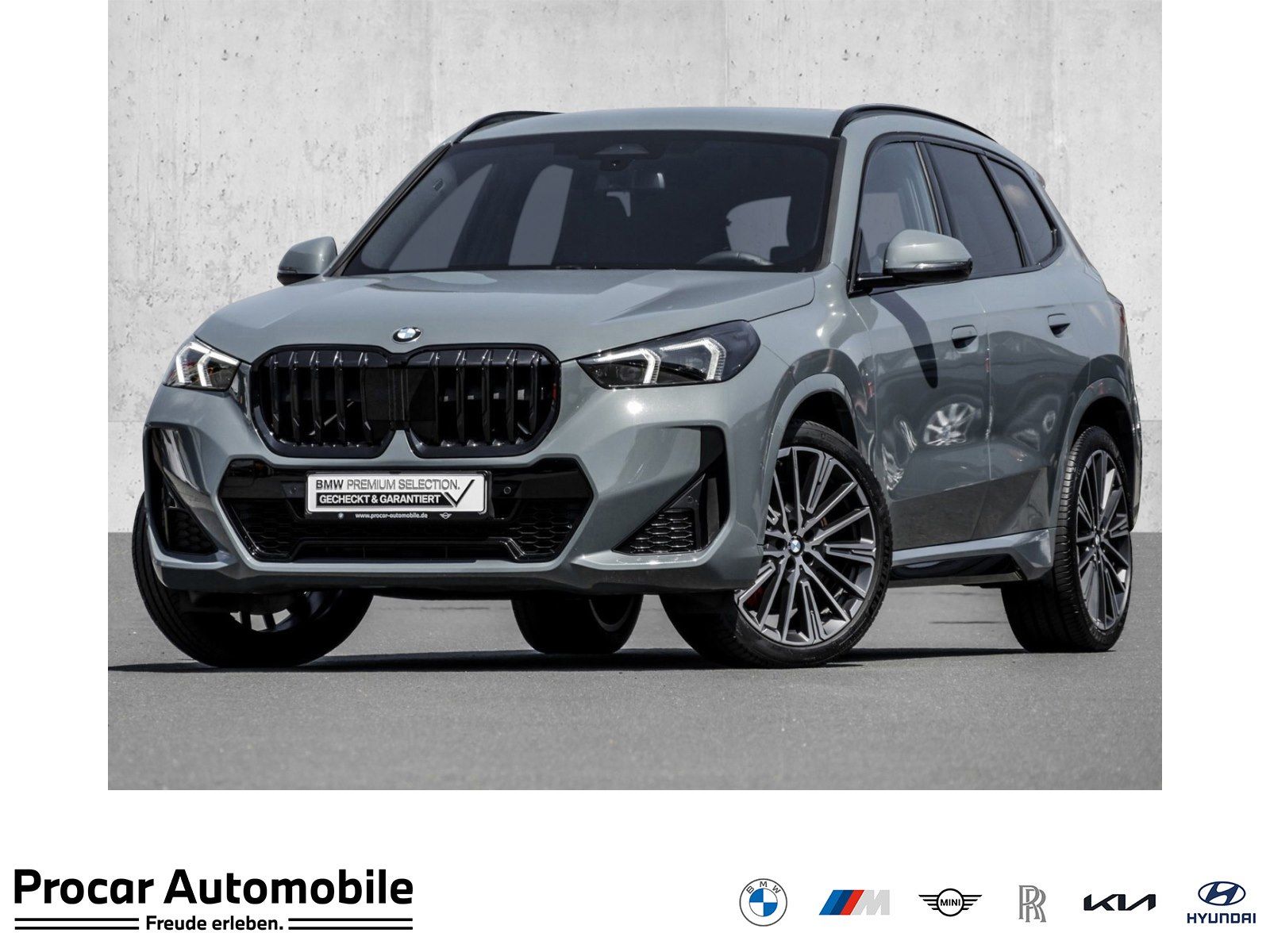 BMW X1 sDrive20i M Sport ACC RFK NAVI LED Lhz