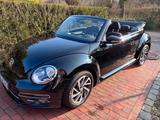 Volkswagen Beetle 1.2 TSI BMT SOUND Cabriolet SOUND - VW Beetle Gebrauchtwagen in Bremen