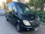 Mercedes-Benz Mercedes Sprinter 316 NGT/ERDGAS/KLIMA/KÜH... - Mercedes-Benz Sprinter mit CNG-Antrieb