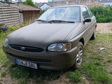 Ford Escort mk7 1996 1,4L  Raptor Oliv. - Ford Escort: 7