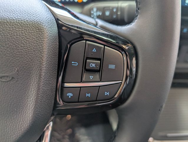Ford Tourneo Custom 2.0 L Titanium Standheizung