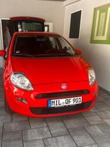Fiat Punto 1.2 8V - - Fiat Punto: 1.2