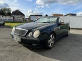 Mercedes-Benz Mercedes Benz CLK Cabrio 200K Automatik Ta... - Mercedes-Benz 200: Cabrio, Clk