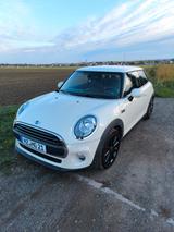 MINI Mini Mouse sucht neuen Besitzer! - weiße MINI ONE