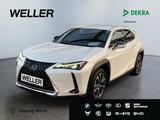 Lexus UX 250h Style Edition *Bi-LED*ACC*Kamera*SHZ*PDC - Lexus Gebrauchtwagen in Stuttgart