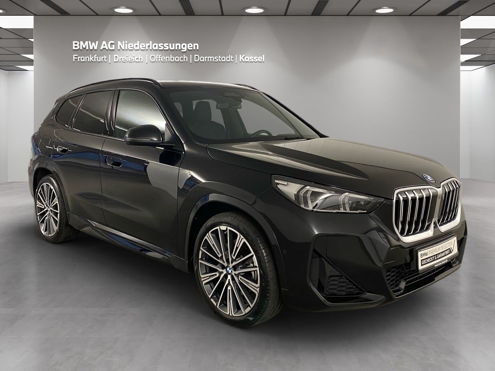 BMW X1 xDrive30e M Sport Driv.Assist.Prof Harman K foto 3