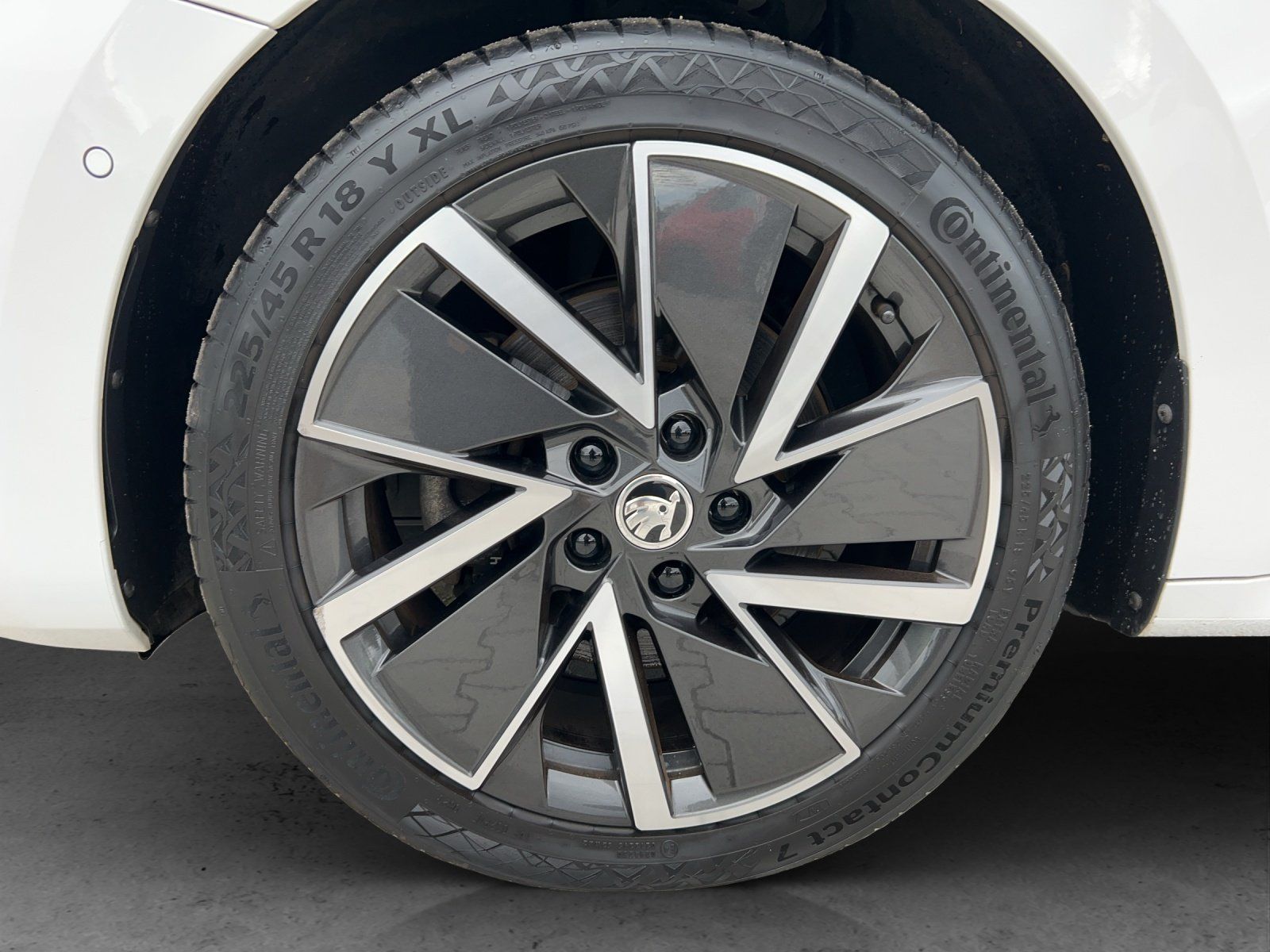 Fahrzeugabbildung SKODA Octavia Combi 1.4 TSI DSG iV Style/KAMERA/ACC/