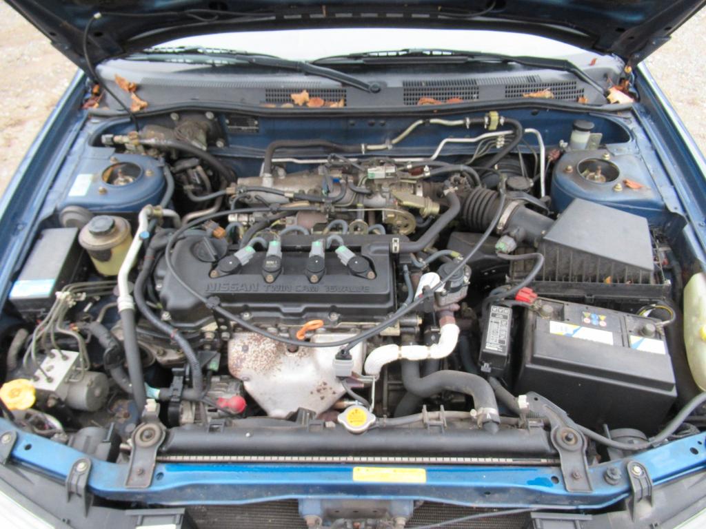Nissan Primera