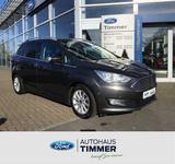 Ford Grand C-Max 1.0 EcoBoost Titanium NAVI - Ford Grand C-Max mit Benzin-Antrieb: Kombi