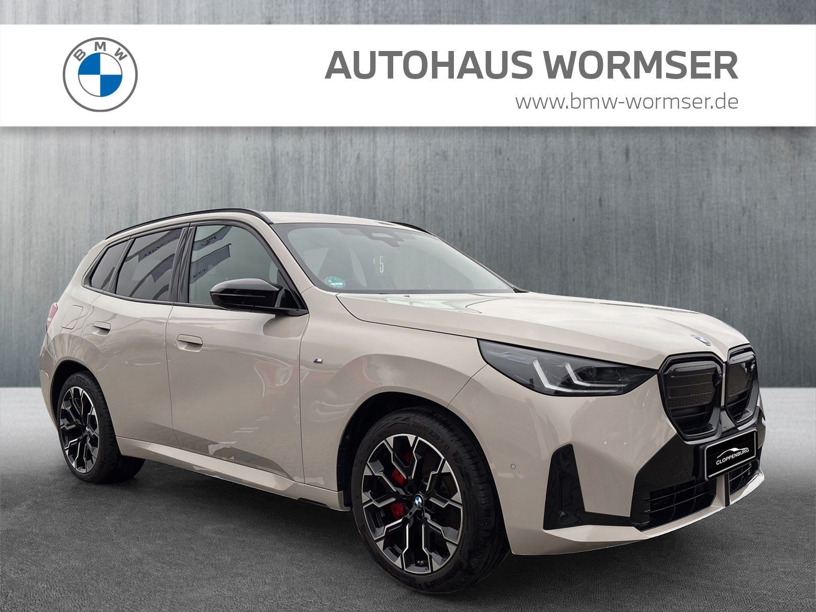 BMW X3 M50 - Bild 7