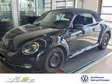 Volkswagen Beetle Cabriolet 1.4 TSI Exclusive Sport *XENON* - Volkswagen Beetle: Sport