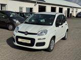 Fiat Panda Pop - Fiat Panda: Weiß