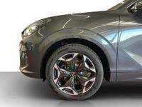 Cupra Terramar - Vorschau Bild 18