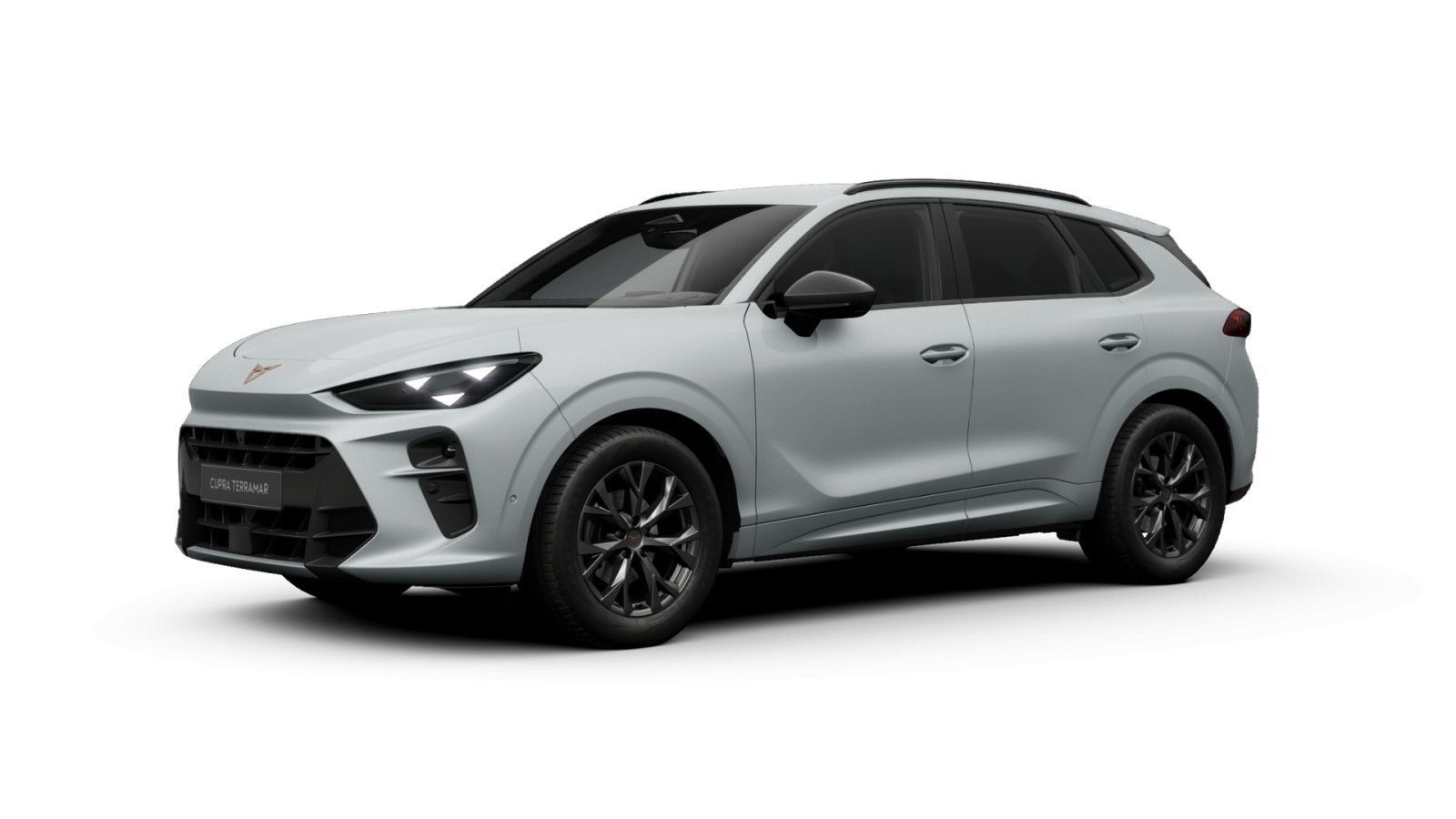 Cupra Terramar - Bild 2