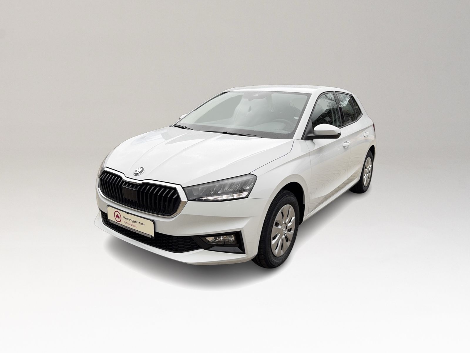 Fabia 1.0 TSI Selection, Vorbereitung AHK, LED,