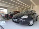 Fiat FIAT Punto 1.2 lounge ok neopatentati unico prop - gebrauchte Fiat Punto aus dem Jahr 2018
