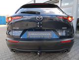 Mazda CX-30 Selection*abn.AHK*Automatik*BOSE SOUND* CX - Mazda CX-30 mit Benzin-Antrieb: Geländewagen, Automatik