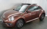 Volkswagen Beetle Käfer! Allstar Dark Bronze! Panoramadach! - Volkswagen Beetle: Kleinwagen
