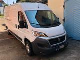 Fiat Ducato Behindertengerecht f. Selbstfahrer L3H2   - Angebote