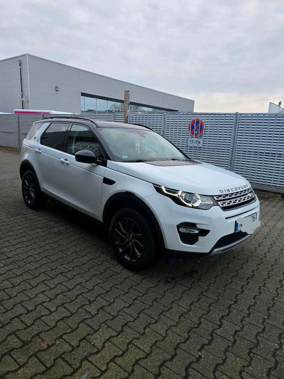 Image of Other Other