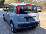 Fiat Panda Easy - graue Fiat Panda