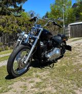 Harley-Davidson Softail Standard  - HARLEY-DAVIDSON SOFTAIL STANDARD