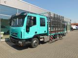 Iveco 80E21 Doka 7 Sitzer Pritsche Euro 6 - Offers matching your search criteria