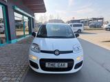 Fiat Panda Pop NUR 5.912km! - sparsam u. zuverlässig - Fiat Panda: 5.5