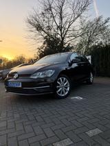 Volkswagen VW Golf 7  IQ Drive / BJ 2019 - Volkswagen Golf: Bj