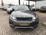 Land Rover Range Rover Evoque SE 4x4i - Land Rover Gebrauchtwagen