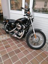 Harley-Davidson Sportster XL2 1200 L TÜV Neu - HARLEY-DAVIDSON 2006 SPORTSTER 1200