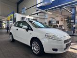 Fiat Punto 1.2 8V  Actual RÜCKFAHRKAMERA/TÜV NEU - Fiat Punto: Actual